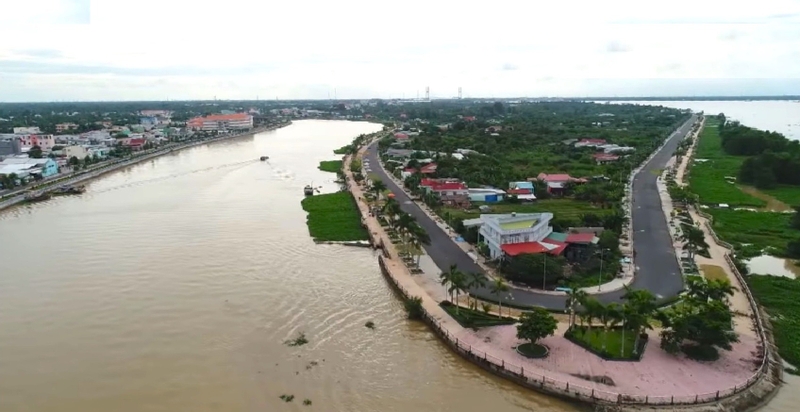 Tân ngải